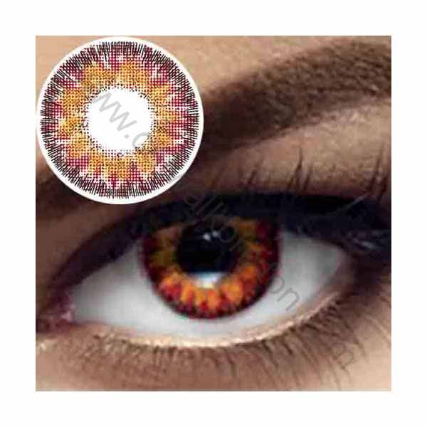 Vital Contact Lenses - Image 6
